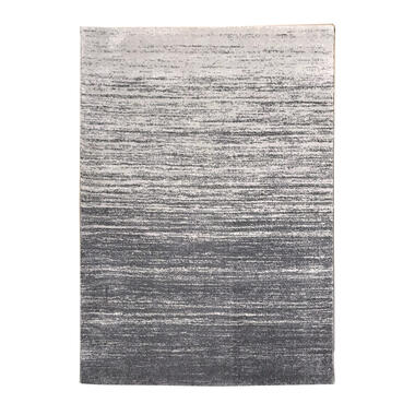 Vloerkleed Sapri - lichtgrijs - 160x230 cm - Leen Bakker aanbieding